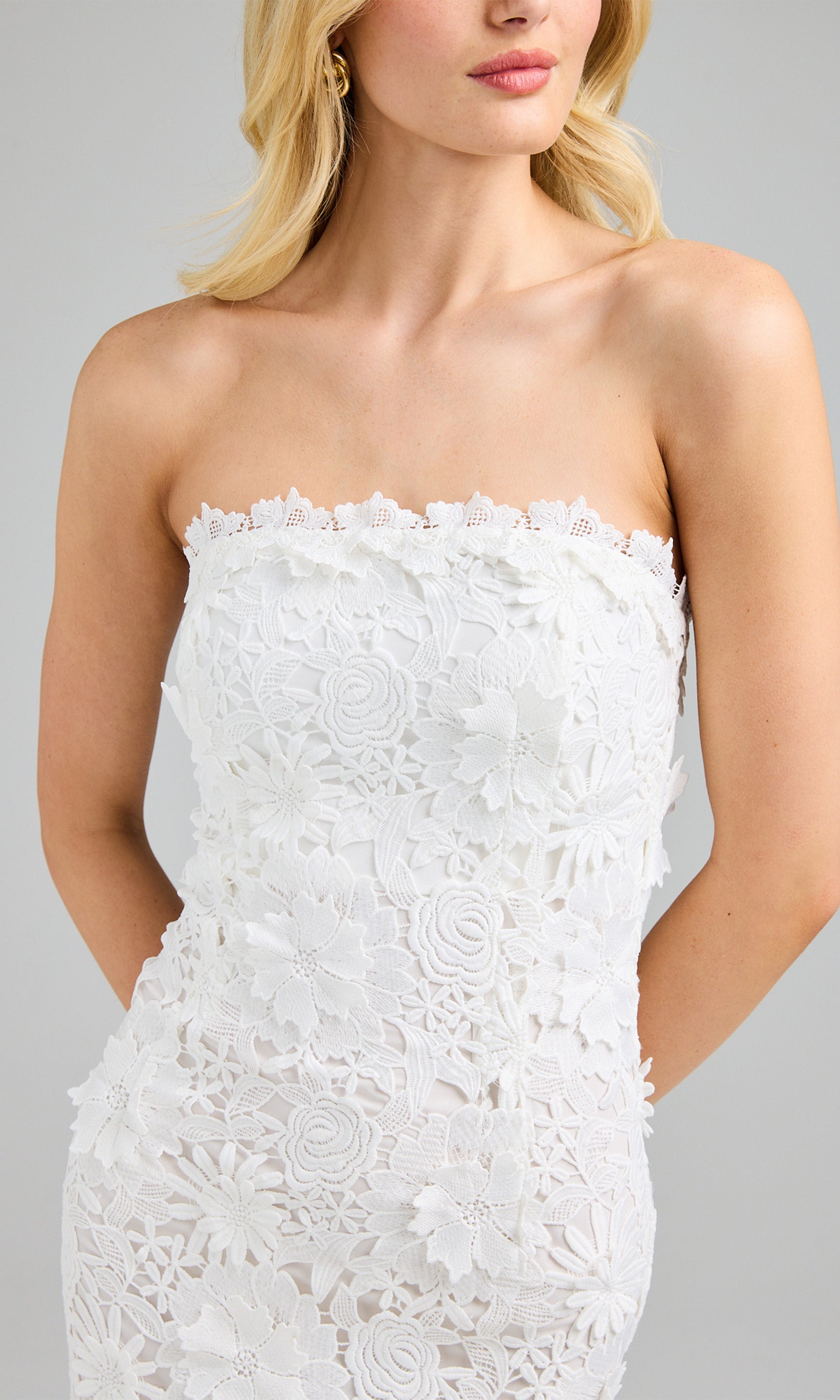 Close-up front view capturing the strapless neckline and delicate lace texture.