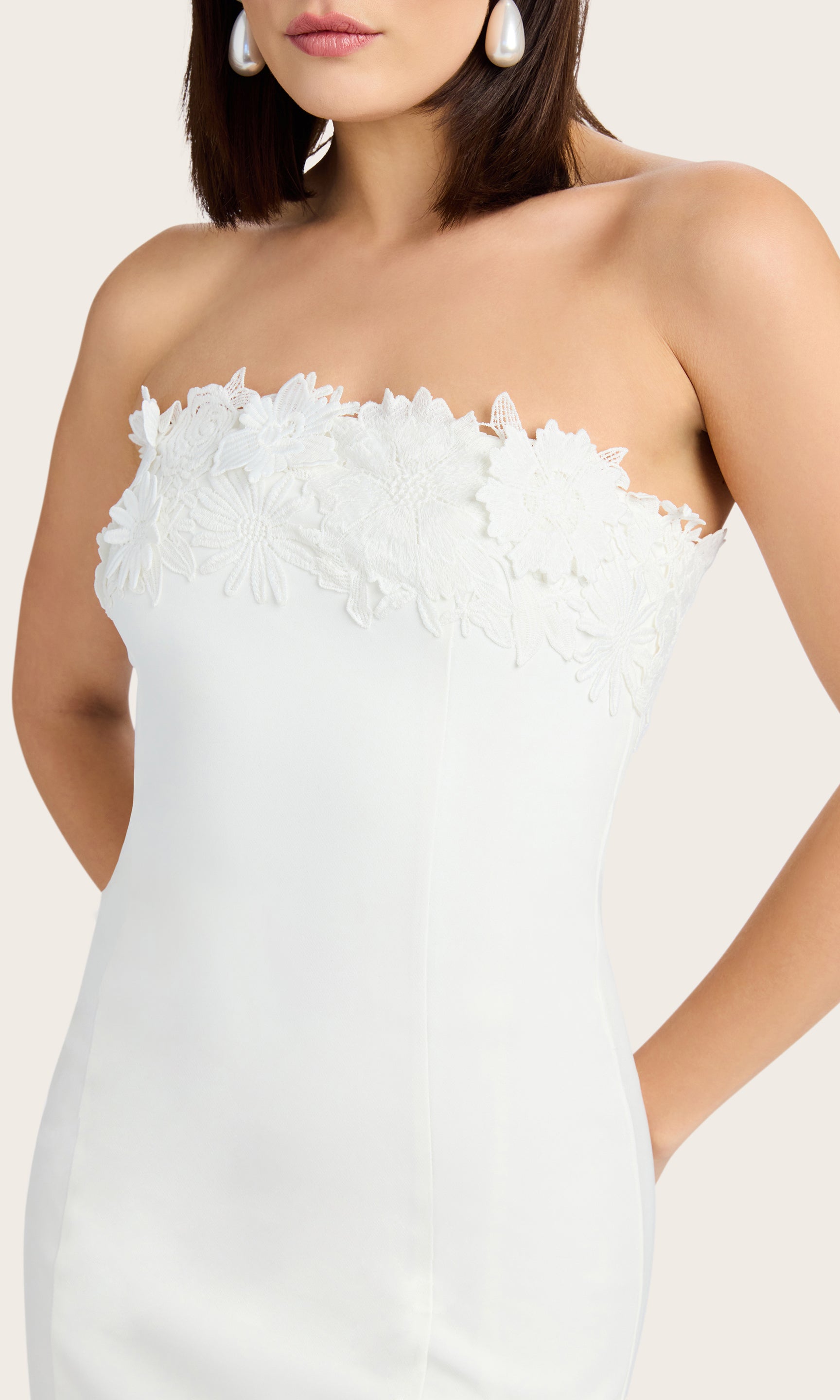 Close-up of the Zun Lace Combo Dress focusing on the lace detailing and structured bodice.
