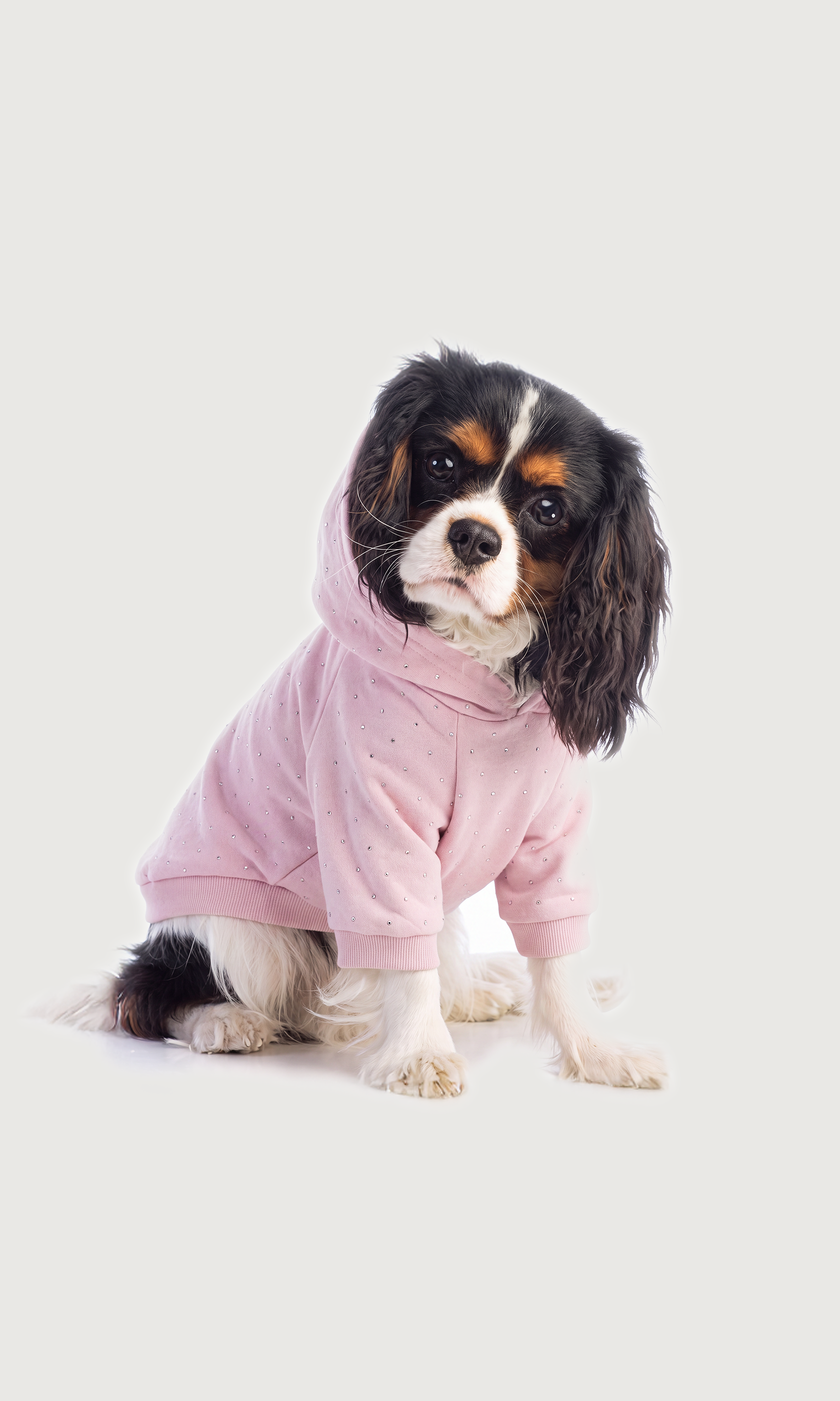 A small black, white, and tan dog wearing a light pink hooded sweatshirt, sitting against a plain light gray studio background.