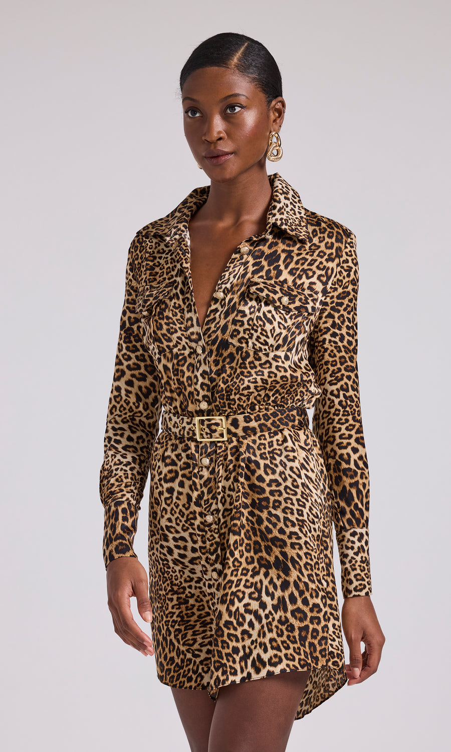 Darcelle Leopard Shirt Dress - Leopard